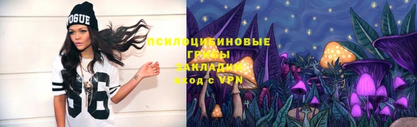 твердый Армянск