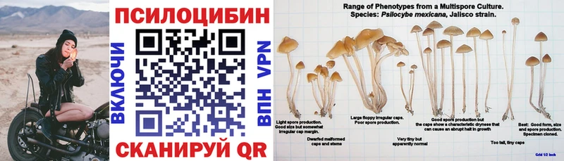 МЕГА как войти  Озёры  Галлюциногенные грибы MAGIC MUSHROOMS 